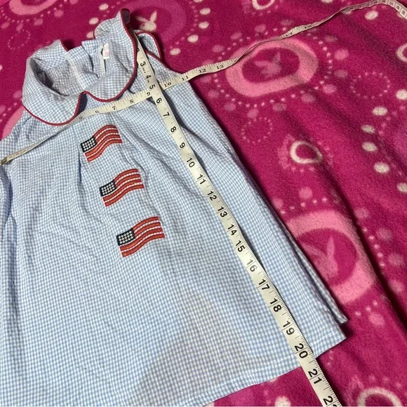 Stitchy Fish Blue Gingham Fourth Of July Collared Toddler Dress Size 3t - Picture 3 of 6
